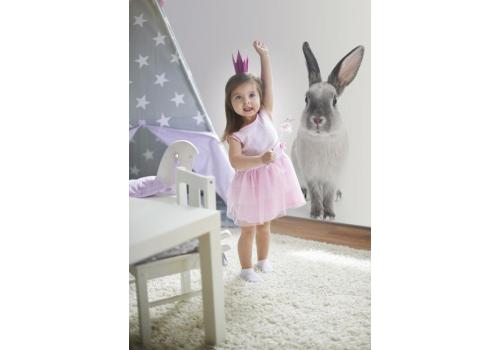 <h3 class=ctjt>Dekorace na zeď DEKORNIK - Králík Harry Rabbit II 37x80 cm</h3><img src=/nabytek_pfoto-small-1KjUO-2009055524.jpg> Dekorace na zeď DEKORNIK - Králík Harry Rabbit II 37x80 cm
