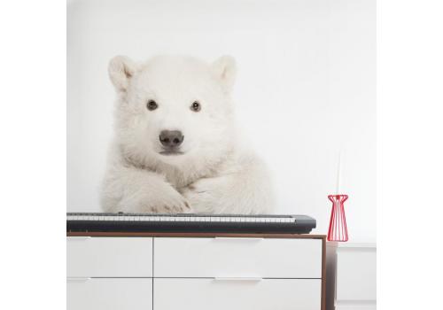 <h3 class=ctjt>Dekorace na zeď DEKORNIK- lední medvídek Polar Bear 58x85 cm</h3><img src=/nabytek_pfoto-small-1KjUO-2009055538.jpg> Dekorace na zeď DEKORNIK- lední medvídek Polar Bear 58x85 cm